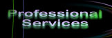 Professional
Services